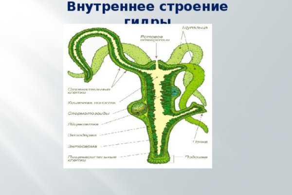 Кракен маркет тор